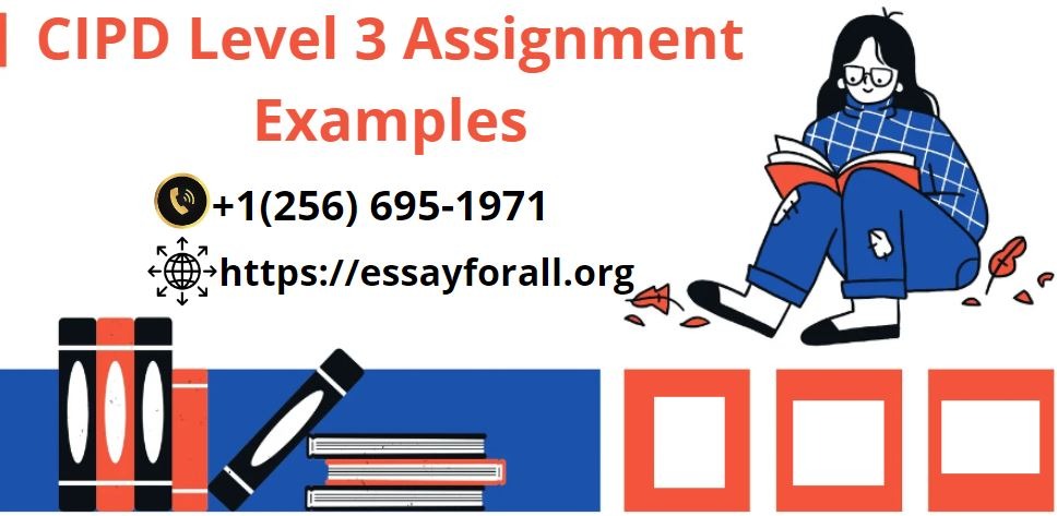 level 3 assignment