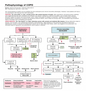 The pathophysiology and epidemiology of COPD