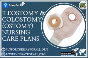 Ileostomy and Colostomy (Ostomy) Nursing Care Plans - Essay For All