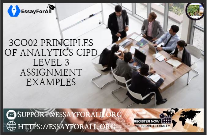 3co02 principles of analytics cipd level 3 assignment examples uk