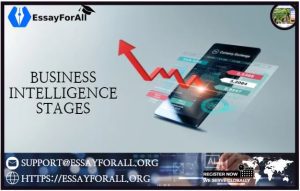 Business intelligence stages