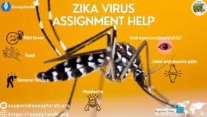 Zika Virus Assignment help