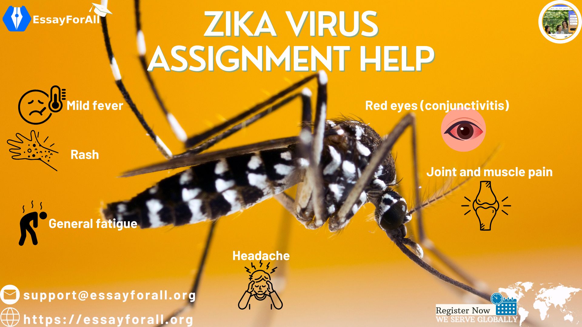Zika Virus Assignment help