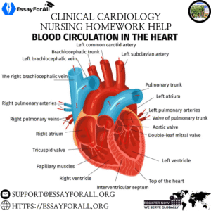 Clinical Cardiology Nursing Homework Help - Essay For Al