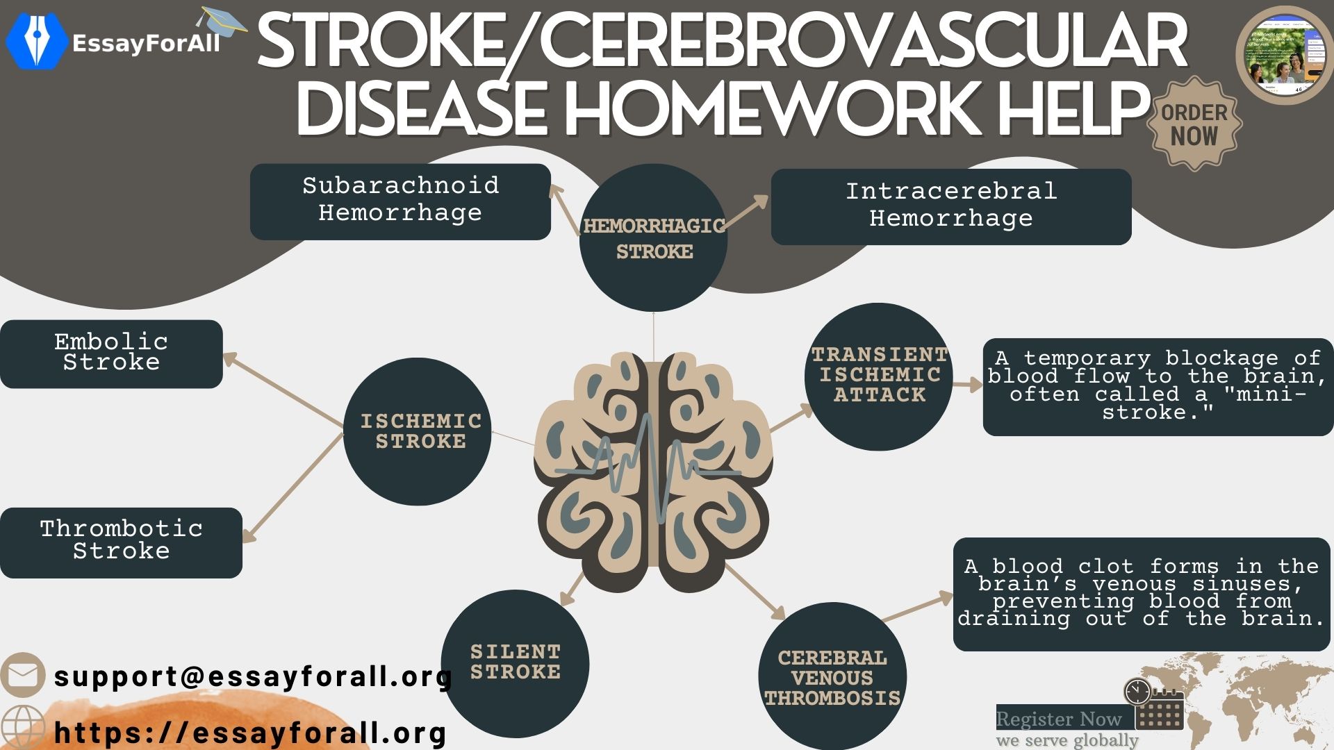 Cerebrovascular Disease Assignments Essays