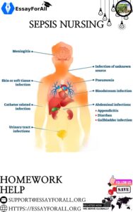 Sepsis nursing Homework help - Essay For All